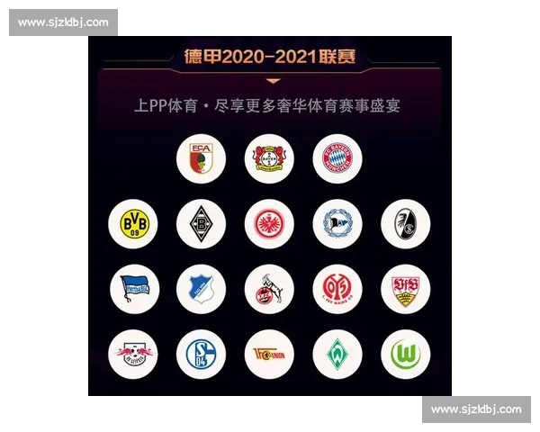 全新体育平台登录入口体验畅享专业赛事资讯服务